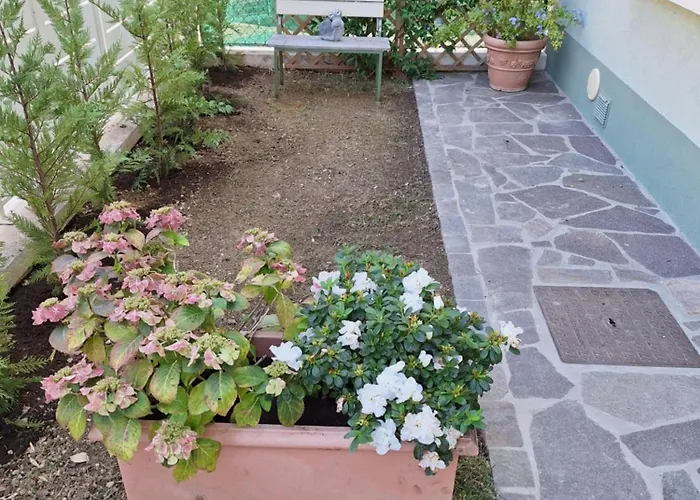 Bed & Breakfast Sweet Harbour Porto -